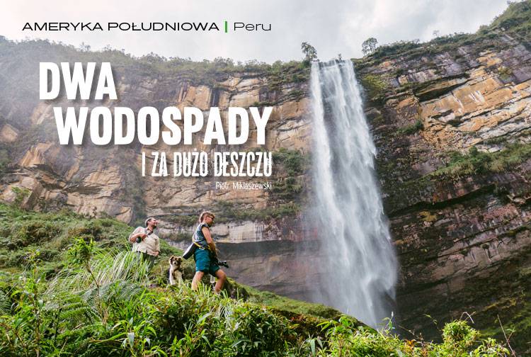 Losowy darmowy artykuł